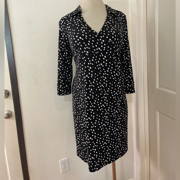 Liz Lange Black White Polka Dot Collared V-Neck Breastfeeding Friendly Dress - Picture 2 of 6